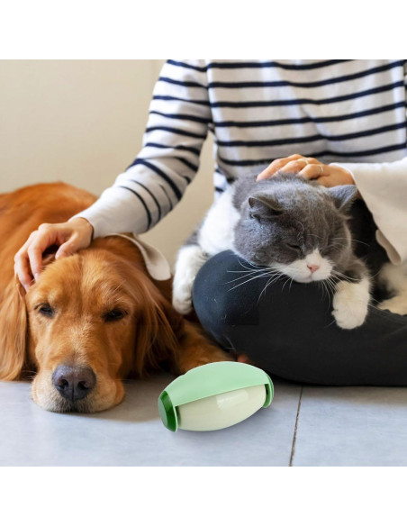 Rodillo de Pelusa Reutilizable Gosknor 2 Piezas Verde 10.2x6.5cm