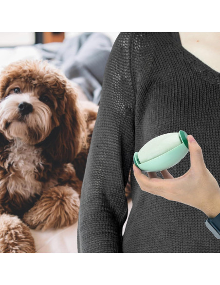 Rodillo de Pelusa Reutilizable Gosknor 2 Piezas Verde 10.2x6.5cm