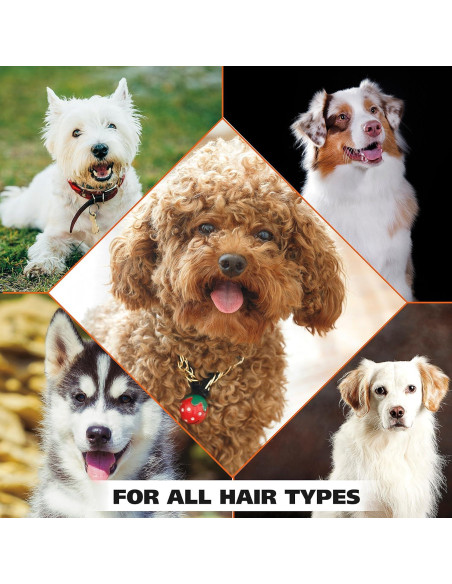 Champú para perros Wahl 24 Oz - Fórmula de avena y coco