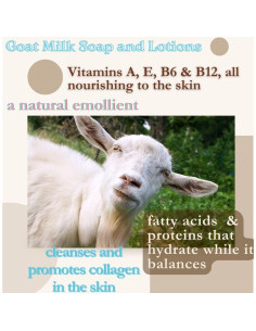 Jabón de Leche de Cabra BOGUE No.9 141.75g Hidratante 2