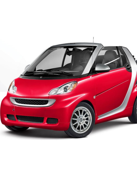 Antena de 40 cm RooFox para Smart ForTwo 2008-2015