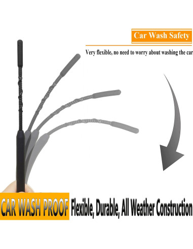 Antena de 23 cm para Ford Mustang 2015-2021 RooFox