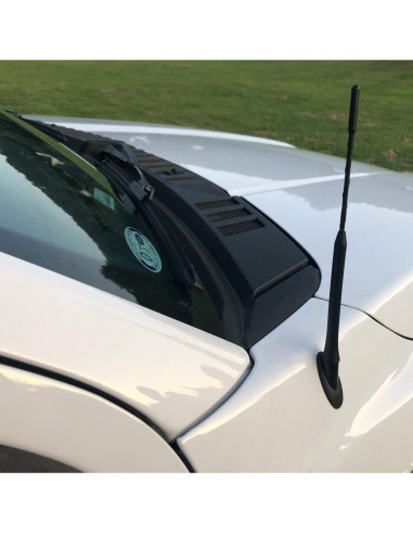 Antena de Coche TN TrunkNets para Ford F150 2009-2024 23 cm