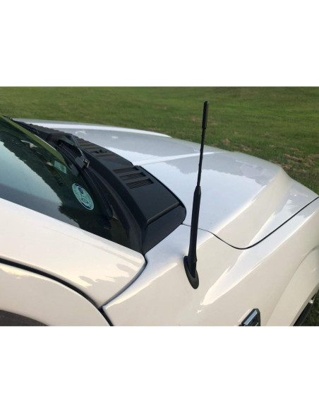 Antena de Coche TN TrunkNets para Ford F150 2009-2024 23 cm