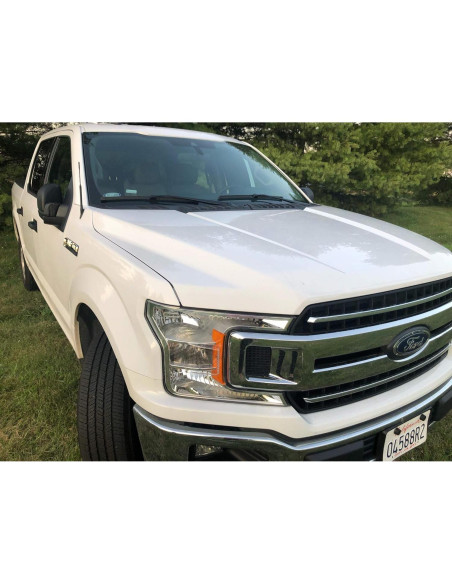 Antena de Coche TN TrunkNets para Ford F150 2009-2024 23 cm