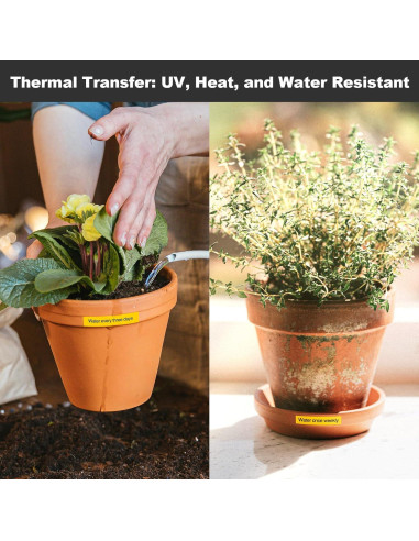 SUPVAN LP5120M Máquina de Etiquetas Térmica con 4 Cintas