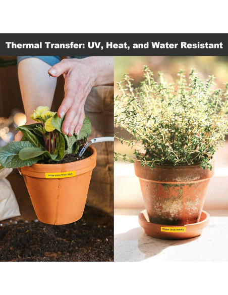 SUPVAN LP5120M Máquina de Etiquetas Térmica con 4 Cintas