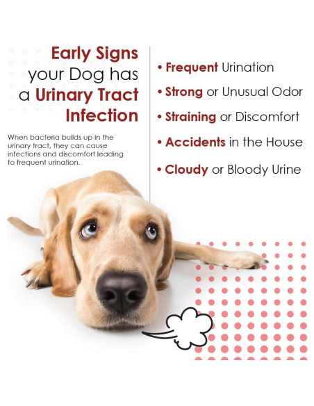 Suplemento D-Mannosa Arándano 60 Tabletas Mascotas Salud Urinaria