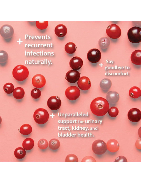 Suplemento D-Mannosa Arándano 60 Tabletas Mascotas Salud Urinaria