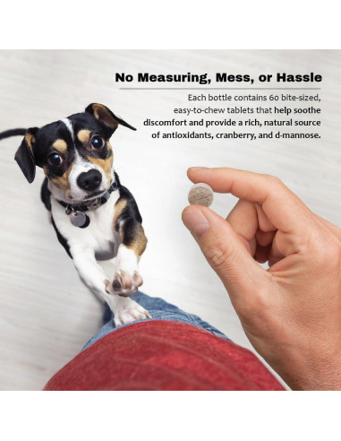Suplemento D-Mannosa Arándano 60 Tabletas Mascotas Salud Urinaria