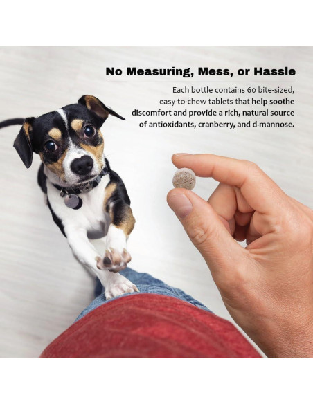 Suplemento D-Mannosa Arándano 60 Tabletas Mascotas Salud Urinaria