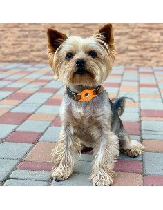Soporte para Collar de Gato AirTag Fretime - Silicona Negro/Naranja/Blanco 2