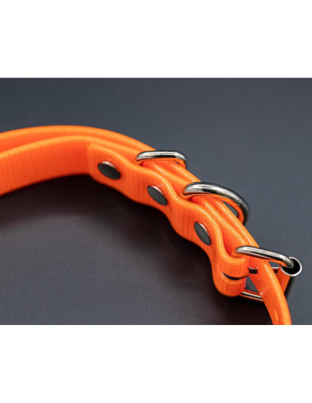 Correa de Collar de Perro TrainPro 1.9 cm Doble Hebilla 71.1 cm