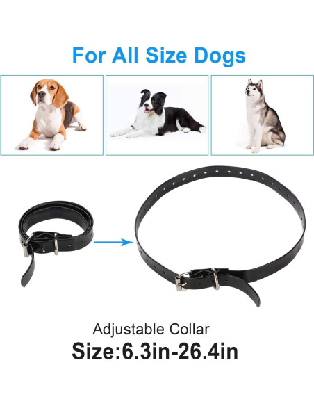 Correa de Collar de Perro TrainPro 1.9 cm Doble Hebilla 71.1 cm