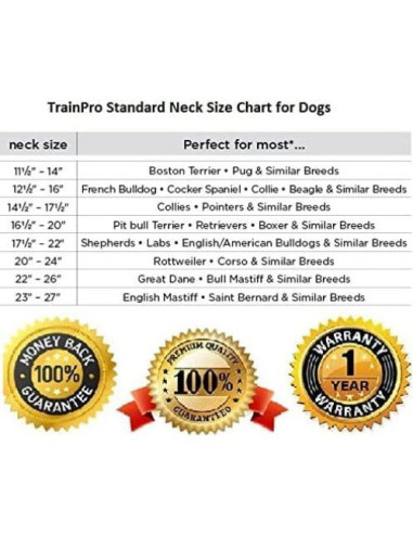 Correa de Collar de Perro TrainPro 1.9 cm Doble Hebilla 71.1 cm