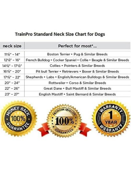 Correa de Collar de Perro TrainPro 1.9 cm Doble Hebilla 71.1 cm