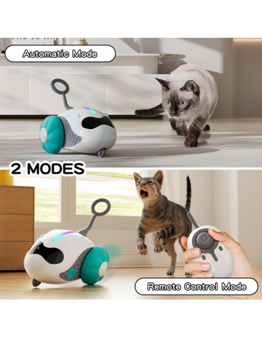 Juguete Interactivo para Gatos Ankege RCCT Azul Recargable