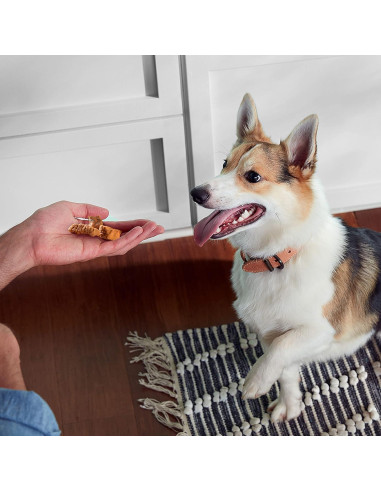 Golosinas para Perro Rachael Ray Nutrish Pollo Asado 5x5oz