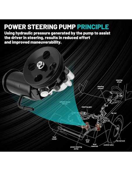 Bomba de dirección asistida Farrme 21-5229 con polea 1995-2004