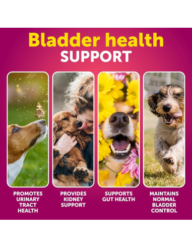 Golosinas para Perros Artullano - Tratamiento UTI Arándano 70 Unidades