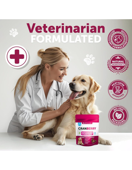 Golosinas para Perros Artullano - Tratamiento UTI Arándano 70 Unidades