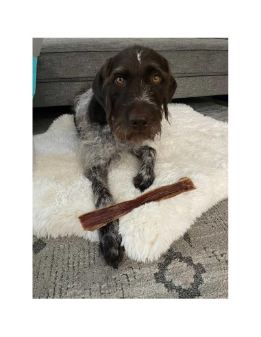 Golosinas de Esófago de Res HotSpot Pets 15.24 cm 0.45 kg