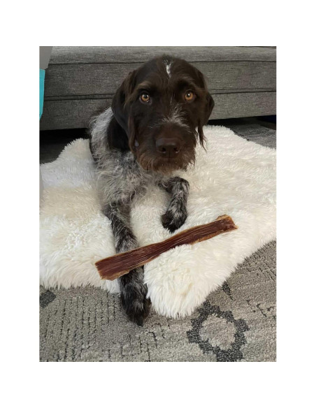 Golosinas de Esófago de Res HotSpot Pets 15.24 cm 0.45 kg