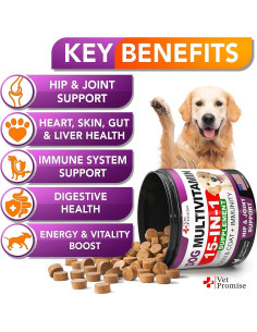 Multivitamina Masticable para Perros Vet Promise 240 Unidades 2