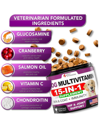 Multivitamina Masticable para Perros Vet Promise 240 Unidades
