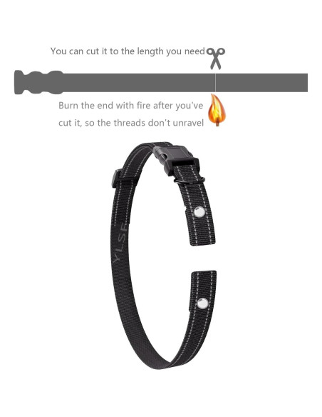 Correa de Reemplazo Nylon 2mm YLSF para Collar Entrenamiento Perro