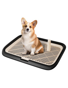 Bandeja para Orinar Perro KOLA PANDA 60x45cm Negro