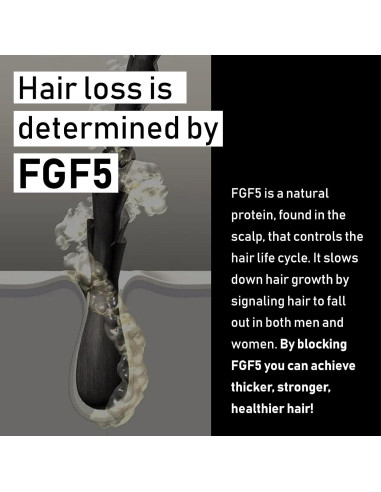 Mascarilla Hidratante Evolis Promote 29.57 ml - Crecimiento Cabello