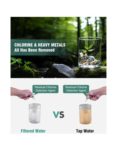 Cabezal de Ducha Filtrado Diiwet con 6 Modos y Manguera 149.86 cm