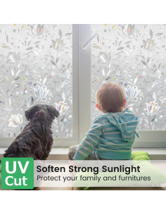 Película de Privacidad para Ventanas Rabbitgoo 44.5x200cm 2