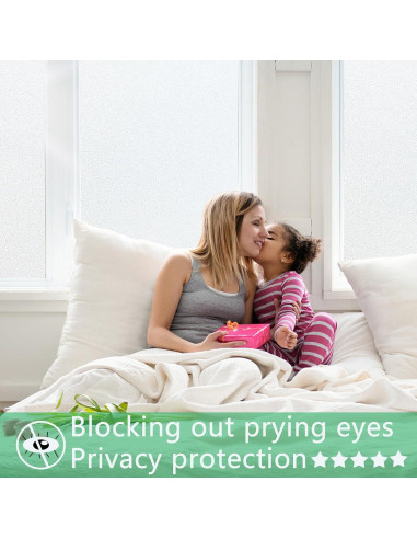 Película de Privacidad Esmerilada Bectosy 44.5x200 cm UV