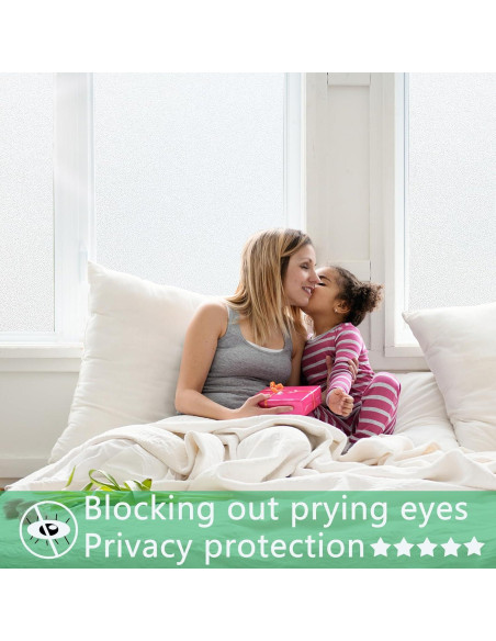 Película de Privacidad Esmerilada Bectosy 44.5x200 cm UV