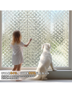 Película de Privacidad para Ventanas Qualsen 44.3x200cm PVC 2