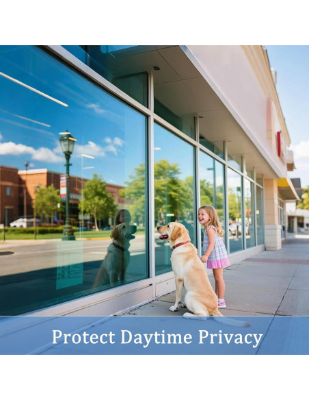 Película de Ventana Privada Coavas 44.5x199.8cm Reflectante