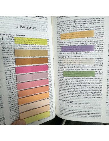 Pestañas Adhesivas Morandi ELII 6000 pcs 4.39x1.09 cm