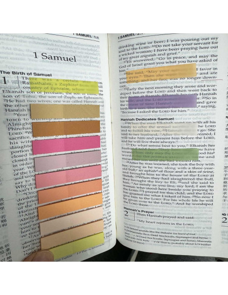 Pestañas Adhesivas Morandi ELII 6000 pcs 4.39x1.09 cm Pestañas Adhesivas Morandi ELII 6000 pcs 4.39x1.09 cm