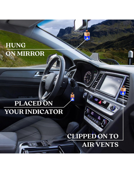 Ambientador de Coche Perfa Savage | Fragancia Fuerte | 100ml Ambientador de Coche Perfa Savage | Fragancia Fuerte | 100ml