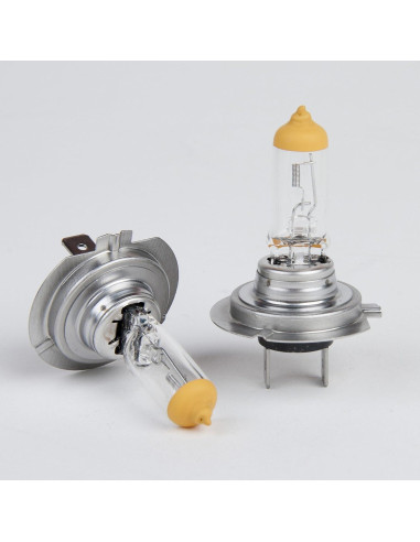 Bombillas de Faro Nokya Clear H7 65W 3100K Alta Potencia