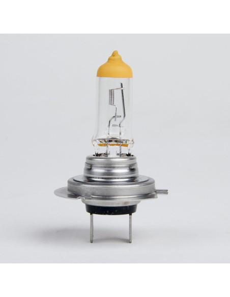 Bombillas de Faro Nokya Clear H7 65W 3100K Alta Potencia