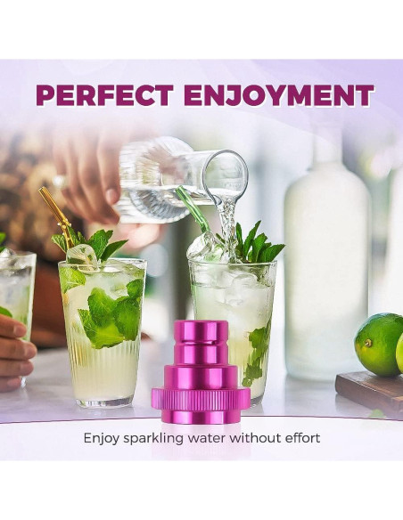 Adaptador Rápido de CO2 Morado para Soda Stream DUO/Terra/Art