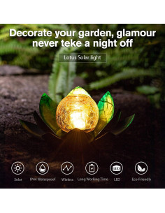 Luz Solar Exterior AIINY 2Pack Loto Azul LED Impermeable 2