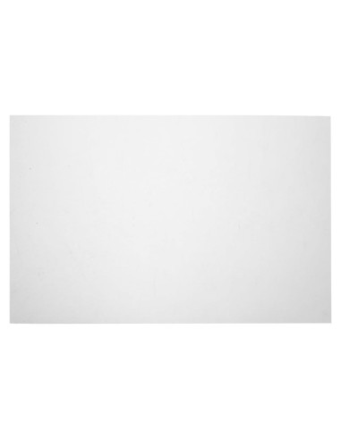 Hoja Lenticular de Invisibilidad VICASKY 30x20 cm para Magos