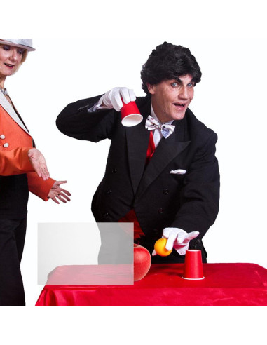 Hoja Lenticular de Invisibilidad VICASKY 30x20 cm para Magos