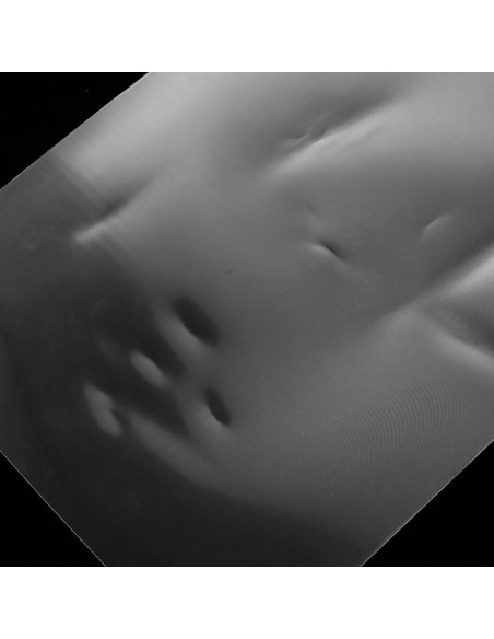 Hoja Lenticular de Invisibilidad VICASKY 30x20 cm para Magos Hoja Lenticular de Invisibilidad VICASKY 30x20 cm para Magos