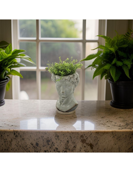 Maceta de Cemento La Colección Bridge Cabeza Griega 15.24 cm