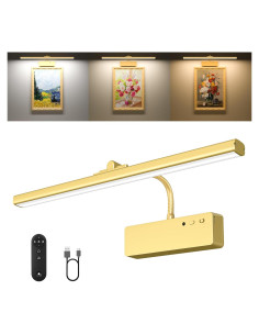 Luz de Imagen Inalámbrica Racokky 39cm Recargable Dorado